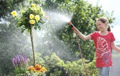 tuin sproeien met regenwater