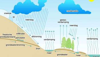 Hydrologische cyclus